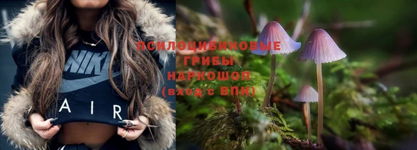 герыч Богородск