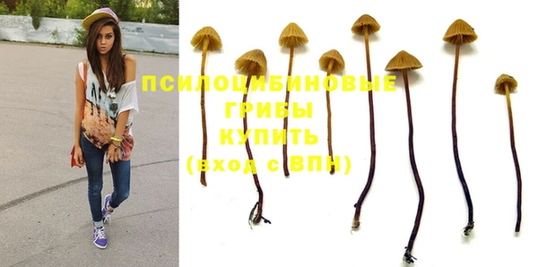 ALPHA PVP Богданович