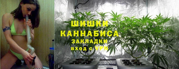 твердый Богородицк