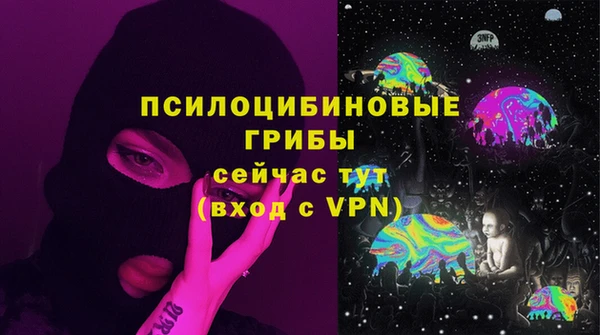 твердый Богородицк