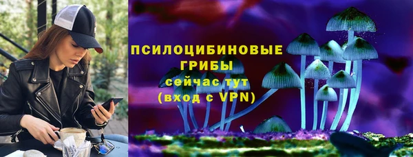 ALPHA PVP Богданович