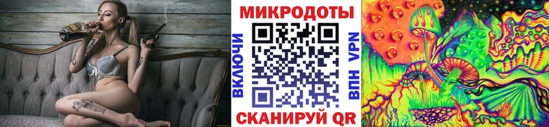 Псилоцибиновые грибы Psilocybine cubensis  Новотроицк 